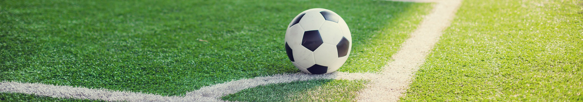 Quesnel Youth Soccer Association - Parent Portal Login